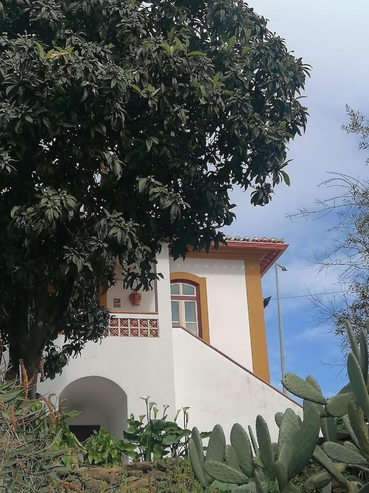 Quinta Do Americano Sardoal Екстериор снимка